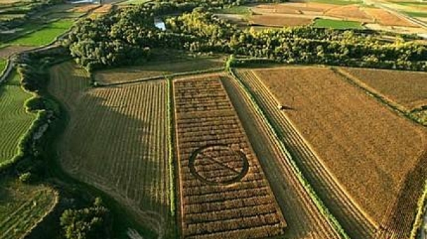 El enigma de los círculos del maíz