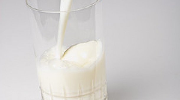 ¿Cuál es la mejor leche para el consumo humano? 