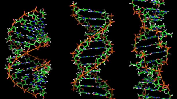 El ADN dictador: lo que la genética decide por ti y llega Pint of Science 