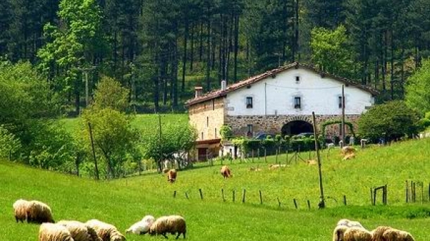 Le syndicat agricole réclame une nouvelle structure pour gérer la filière ovine au Pays Basque