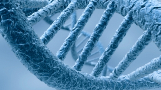 Mitos y verdades en torno a las pruebas de ADN