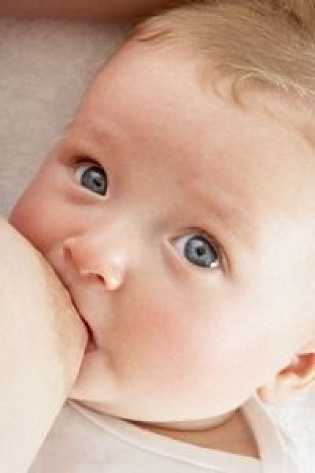 La lactancia materna aumenta el cociente intelectual