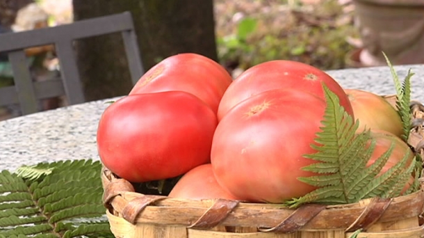 Nahi adina tomate klase bada orain: merkatuak agintzen du.            