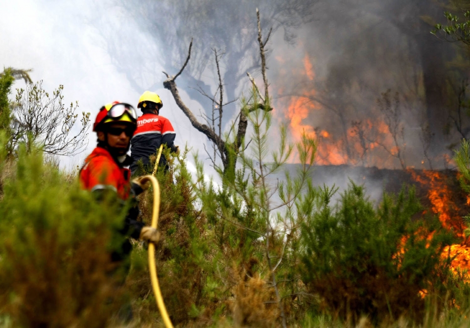 Incendios | El fuego sigue activo en Alicante