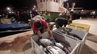 Stop à la surpêche: Le Parlement européen vote pour une pêche durable