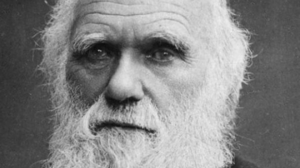 La evolución, Darwin y las matemáticas