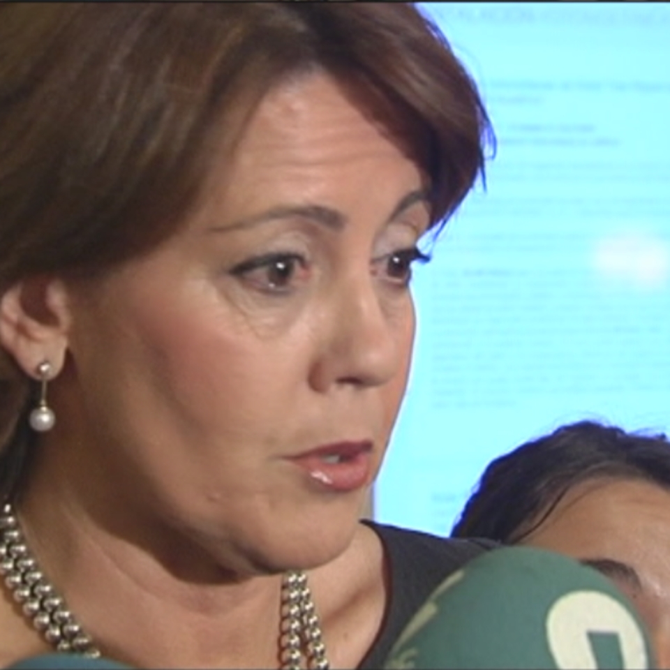 La presidenta de Navarra Yolanda Barcina.