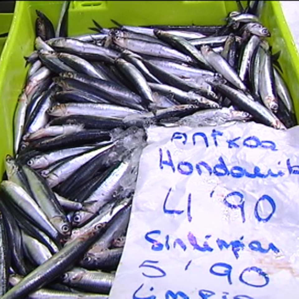 Las pescaderías y las cofradías enfadados por la alerta de anisakis