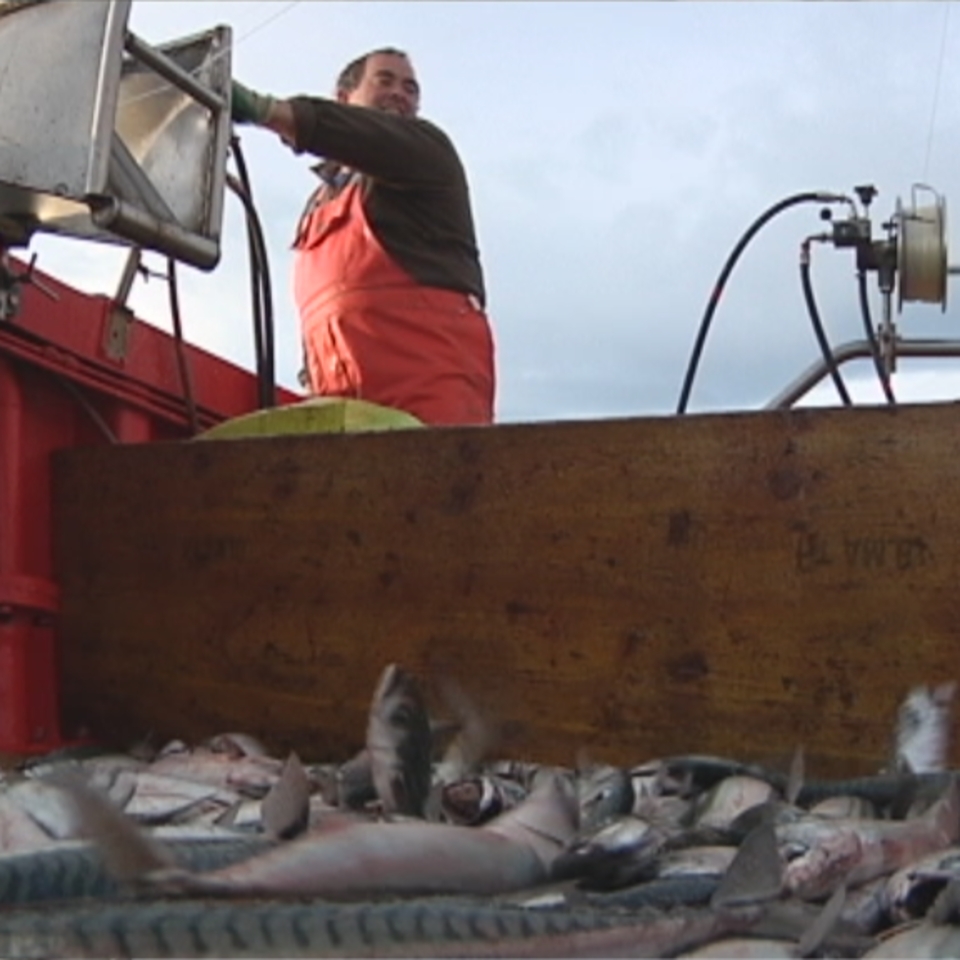 Gobierno Vasco quiere hacer atractivo el sector pesquero a los jóvenes
