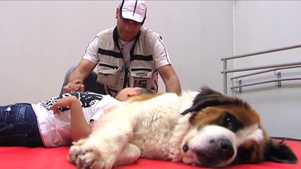 Terapia asistida con perros para personas presas
