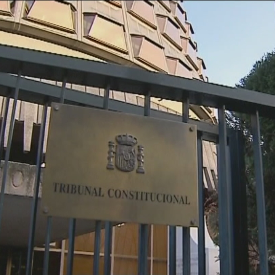El Tribunal Constitucional.