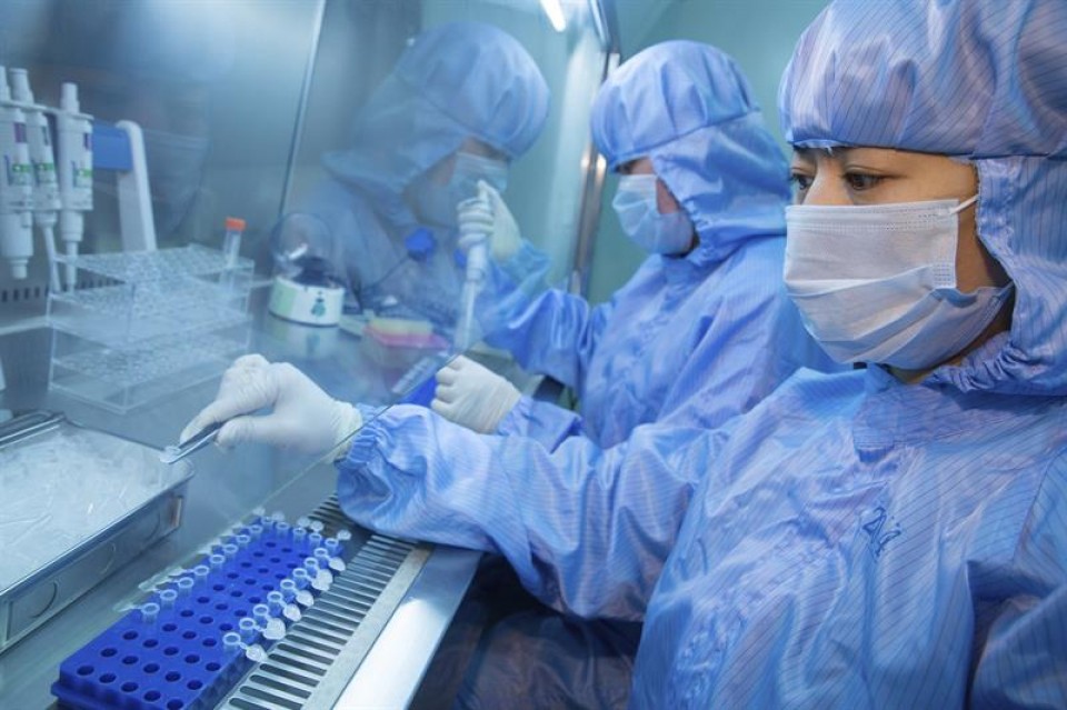 Investigadores chinos trabajan en la producción del reactivo de detección del virus ébola. Foto:EFE.