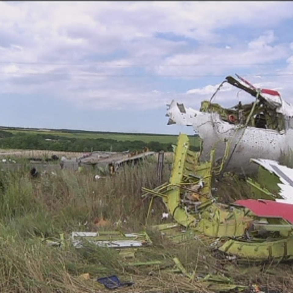 Lugar en el que cayó el avión de Malaysia Airlines en Ucrania. EiTB