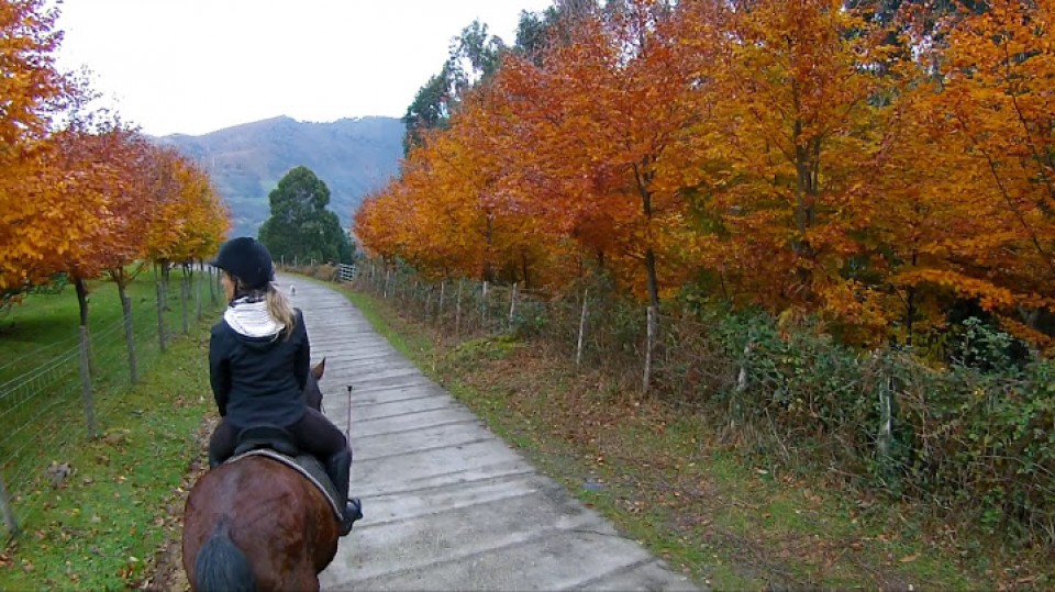 Vídeo: Una ruta a caballo como nunca la habías visto