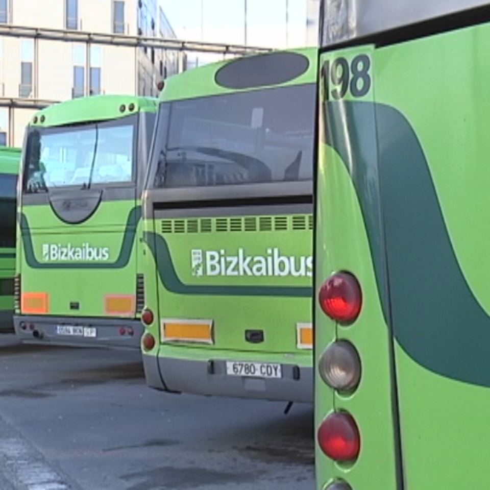 Varios autobuses de Bizkaibus. Foto: EITB Media