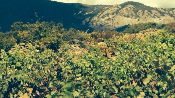 Negativa de la DOC Rioja a diferenciar la marca Rioja Alavesa
