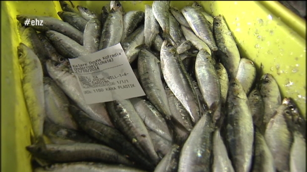 Pérdida de la biomasa de sardina en el Atlántico