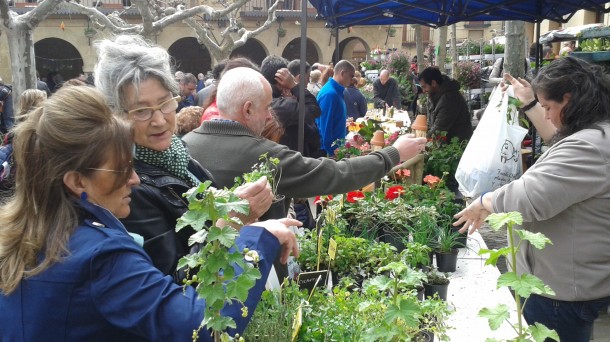 Güeñes: Mercado de flores y plantas 