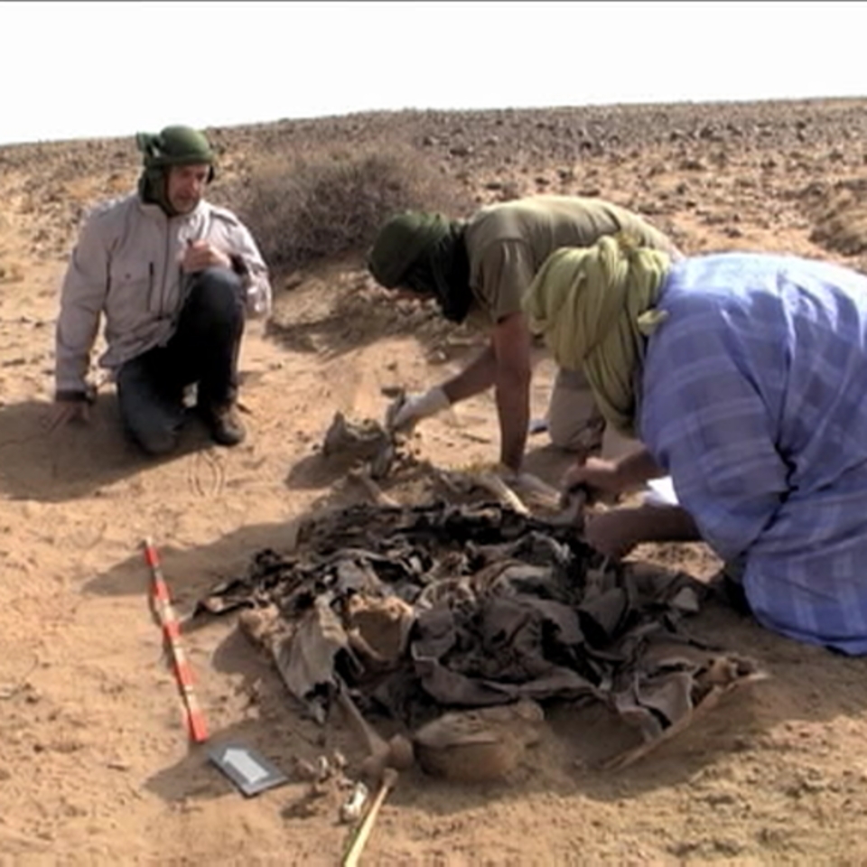 Genozidio-delituak leporatu dizkiete Marokoko 11 goi-karguduneri. Argazkia: EiTB