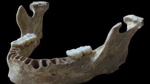  Oase 1: Un humano moderno con casi un 10% de ADN neandertal