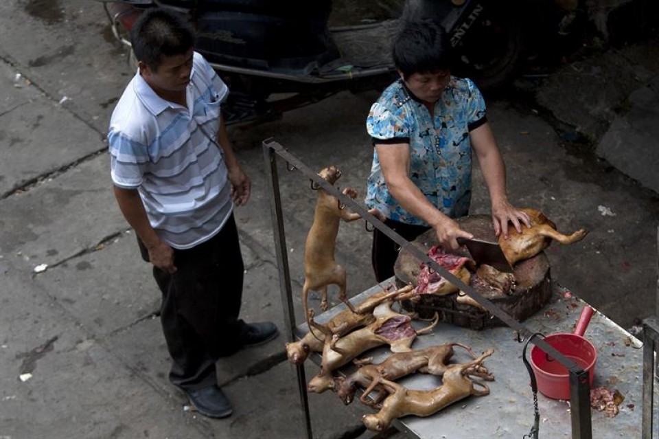 Un puesto callejero de venta de carne en Yulin (China). EFE