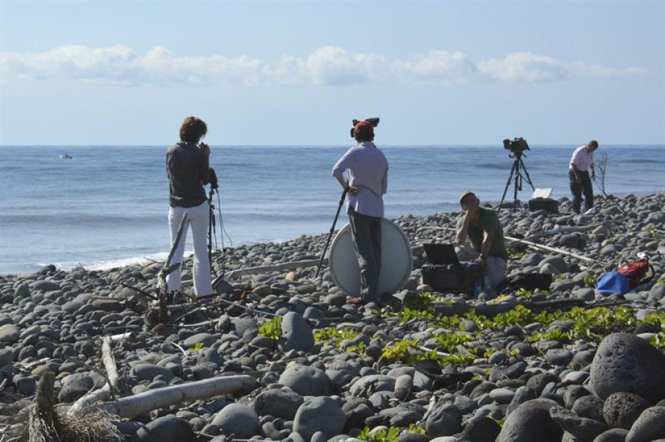 Medios internacionales, en la isla de La Reunión. Foto: EFE