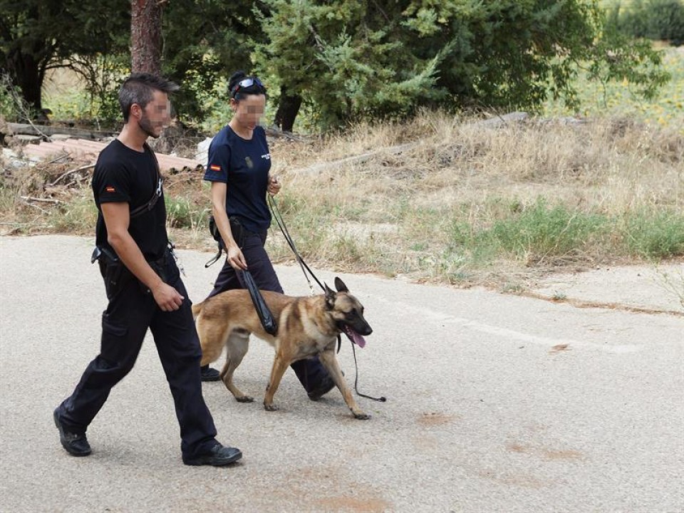 La unidad canina de la Policía Nacional ha registrado una finca en Chillarón de Cuenca. Foto: EFE