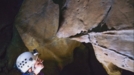 Hallan grabados paleolíticos en cuevas de Landarbaso