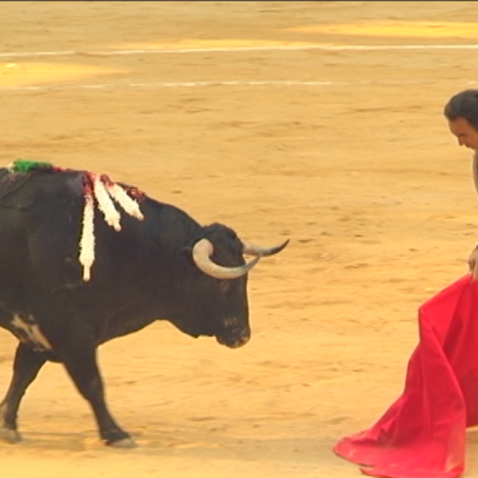 La Abogacía recurre la consulta sobre toros en San Sebastián
