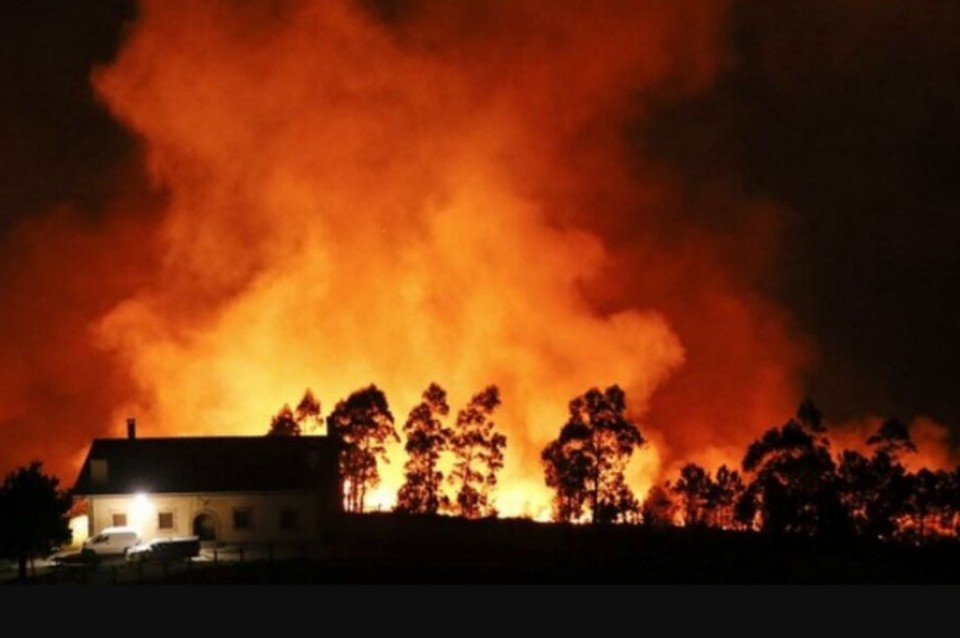 El incendio afectó a 200 hectáreas.  