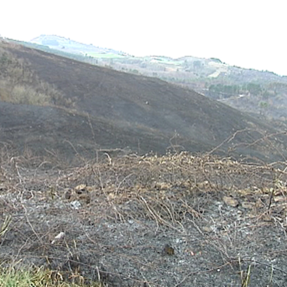 El alcalde de Donostia ha examinado los daños causados por el fuego