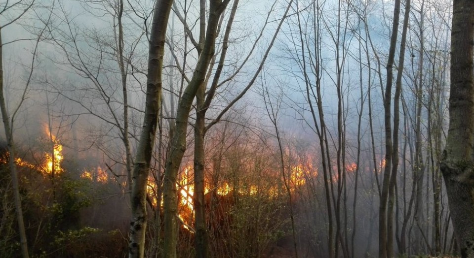 Incendio declarado en el monte Arraiz. Foto: Bilboko suhiltzaileak.
