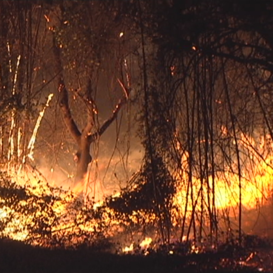 Espectaculares imágenes del incendio de Berango