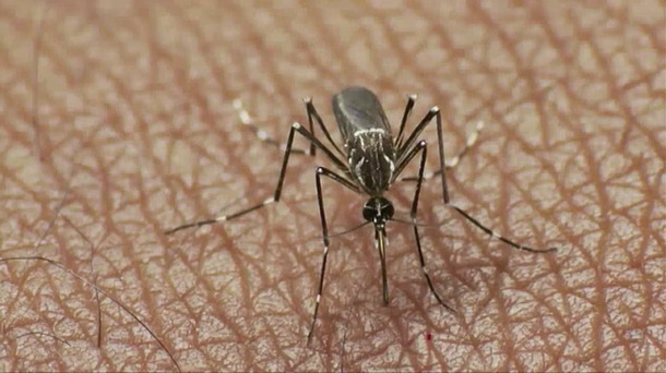 Engraxi, la primera afectada por el virus Zika