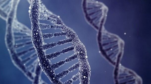 DNA DATA : start up biomédica.