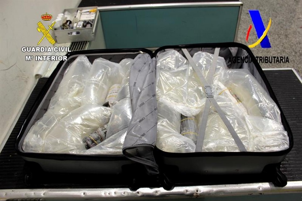 Decomisan 43 kilos de angulas que iban a enviar ilegalmente a China