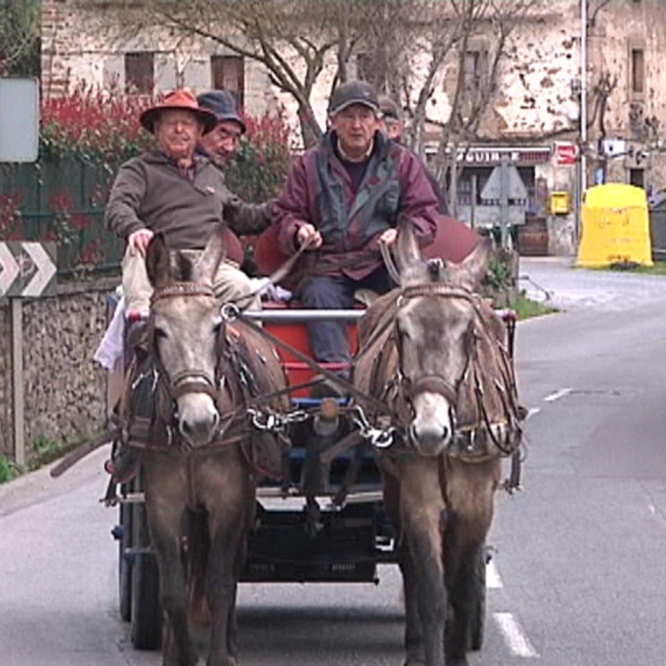De Llodio a Huelva en carro de mulas