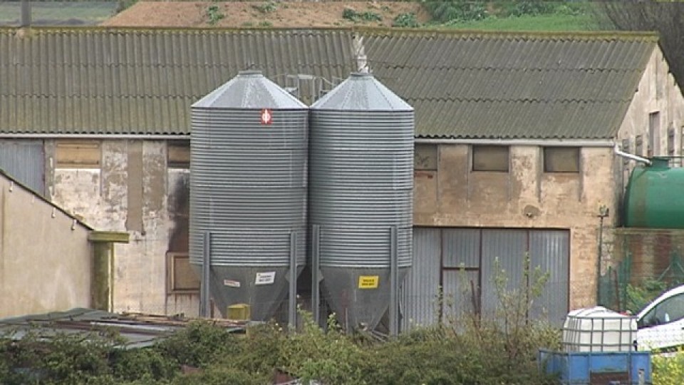 La granja de gallinas en Arróniz (Navarra), en la que ha tenido lugar el accidente laboral. EiTB