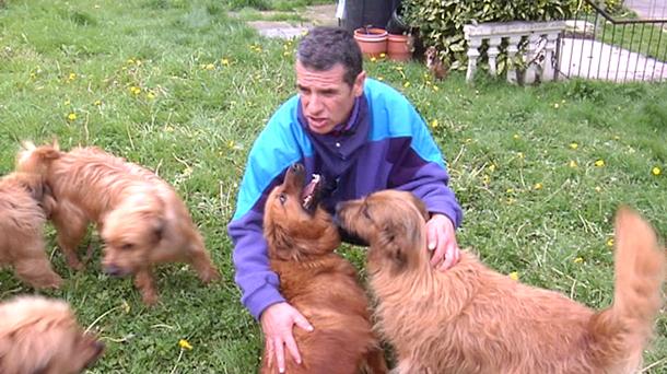 El alcalde de Marcilla recoge 7 cachorros abandonados en la basura
