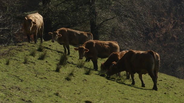 Abastecimiento de agua para el ganado en Sierra Salvada durante todo el año