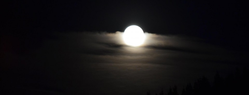Una Luna llena. Foto: Konsuelo Errasti Alzelai