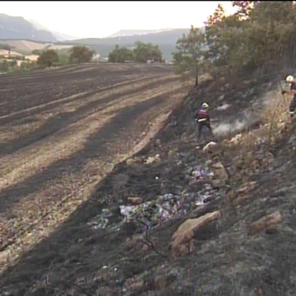 El incendio ha quemado 50 hectáreas en Lantarón. Foto: EITB
