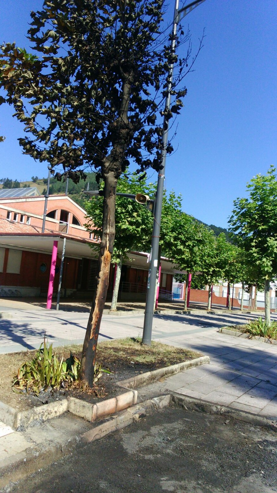 Foto: Ayuntamiento de Güeñes