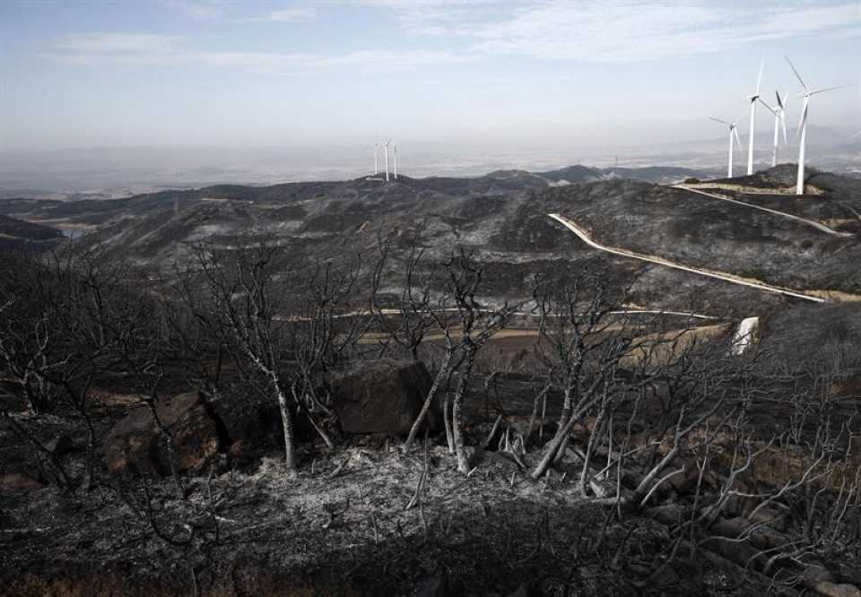 El incendio, declarado el pasado jueves, ha afectado a cerca de 4.000 hectáreas.Foto de archivo: EFE