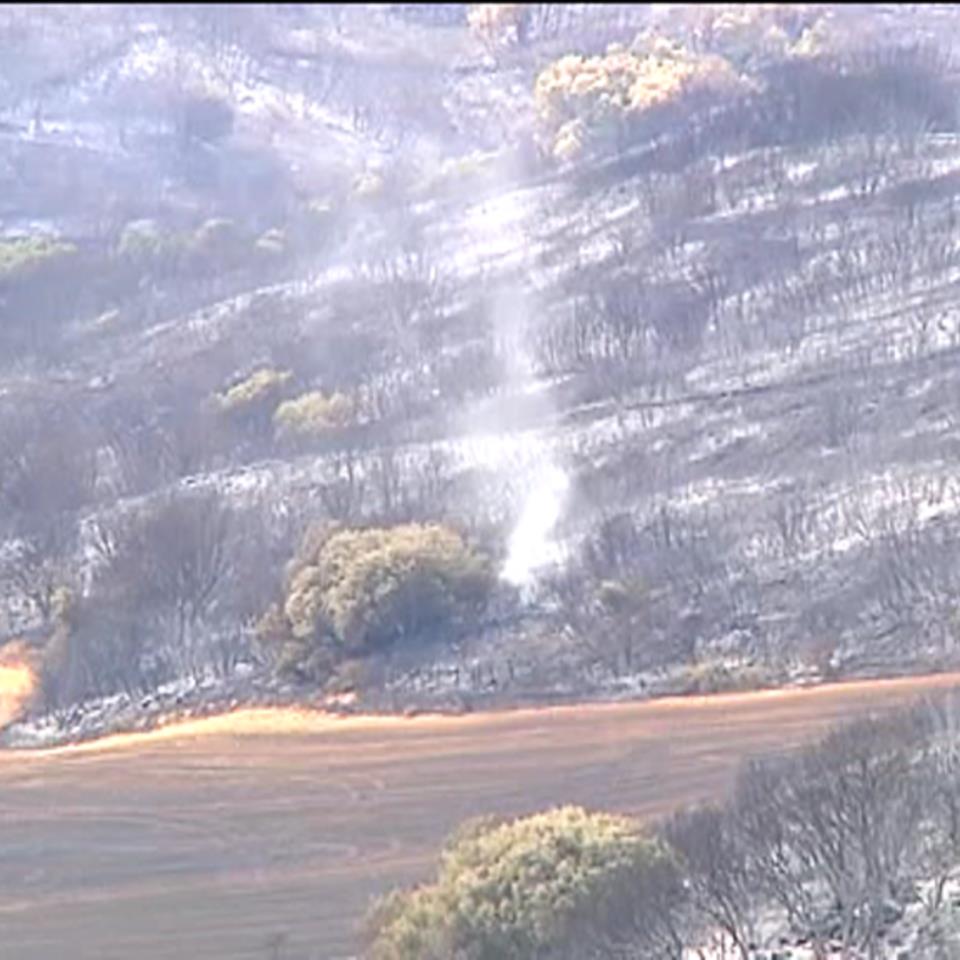 El fuego ya ha calcinado entre 2.700 y 3.000 hectáreas. Foto: EFE