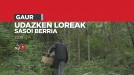 'Udazken loreak' programaren sasoi berria gaur itzuliko da