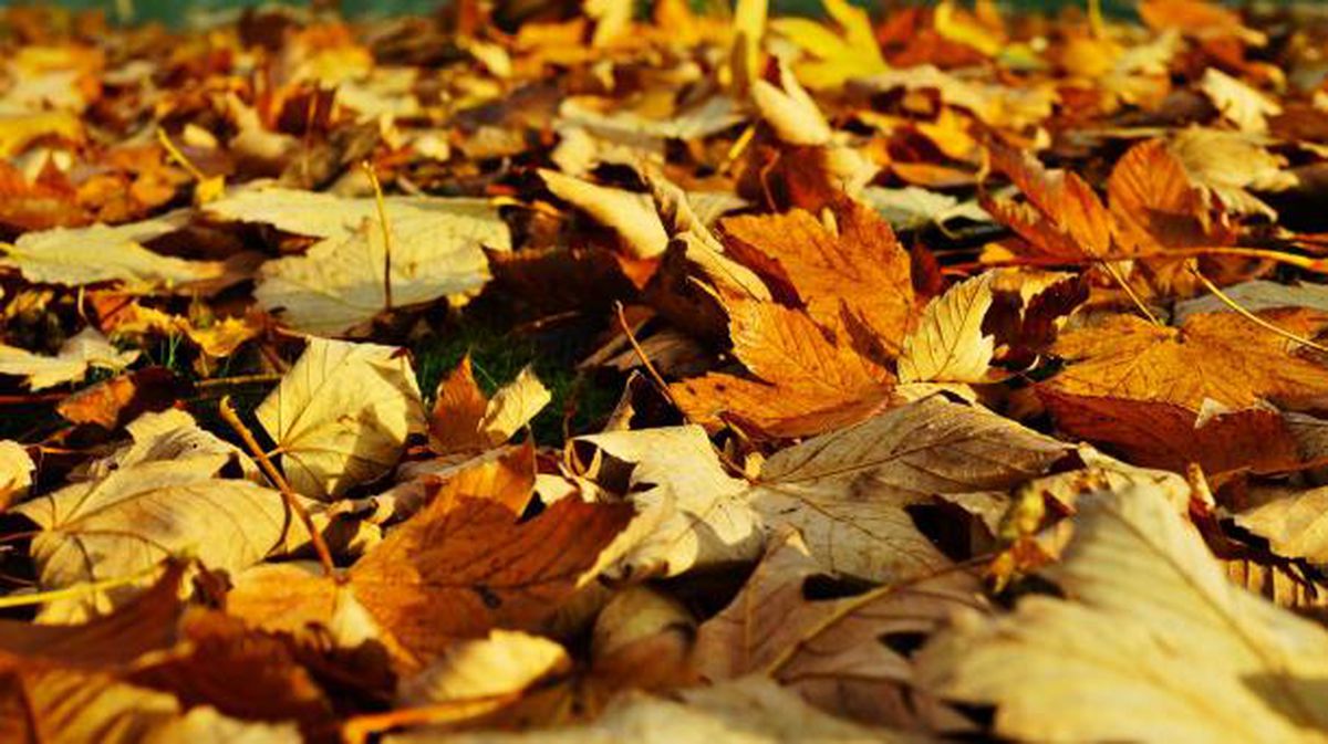 Llega el equinoccio de otoño. Foto: EiTB