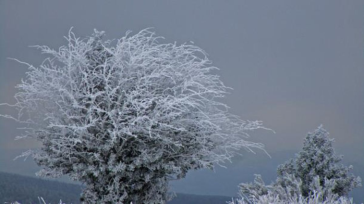 Nieve en Sarria