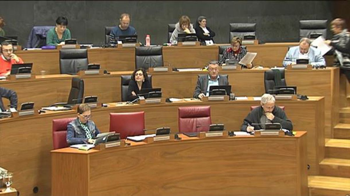 Sesión del Parlamento de Navarra de este jueves. Foto: EiTB