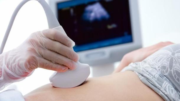 El 15% de los embarazos en Euskadi son por tratamientos reproductivos